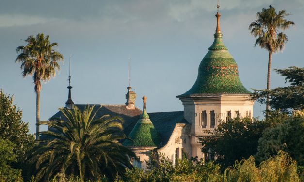 LOS CUERVOS SOBREVUELAN VILLA EXCÉLSIOR