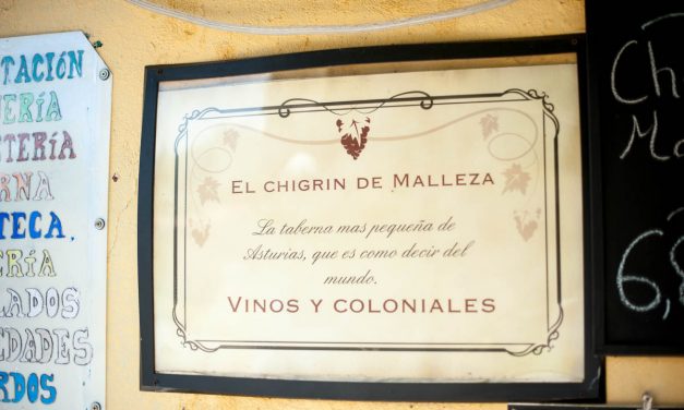 EL CHIGRE MÁS PEQUEÑO DEL MUNDO