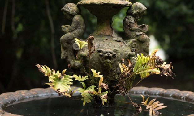 EN EL LUGAR DE LA FUENTE