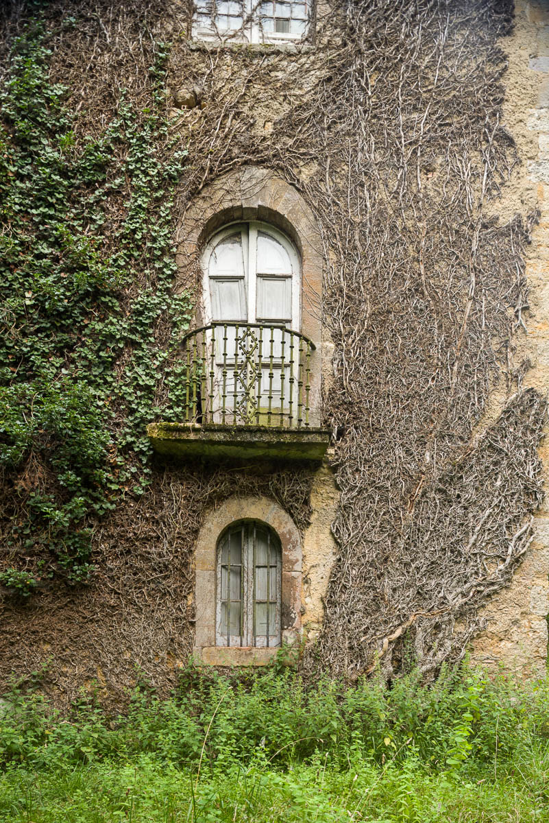 DSC_8164