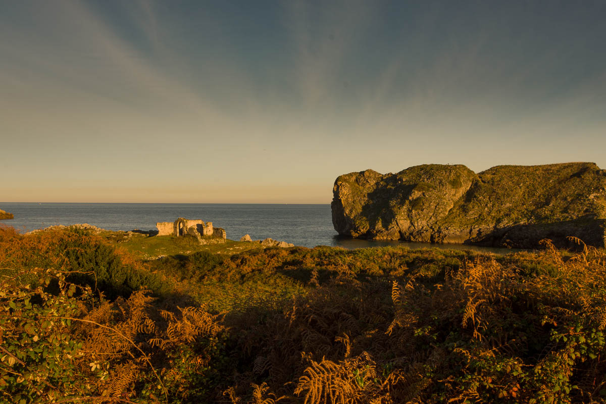 _DSC6533