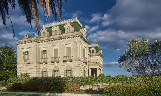 EN BUSCA DEL HERMANO MAYOR