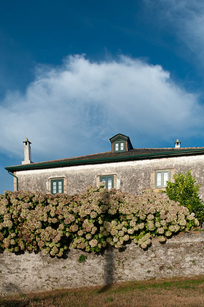 Muro de una casa de Puerto de Vega decorado con hortensias